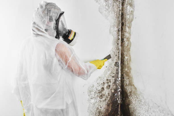 Mission, OR Mold Removal Company
