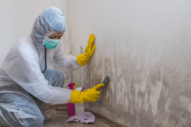 Best Office Mold Removal Services  in Mission, OR