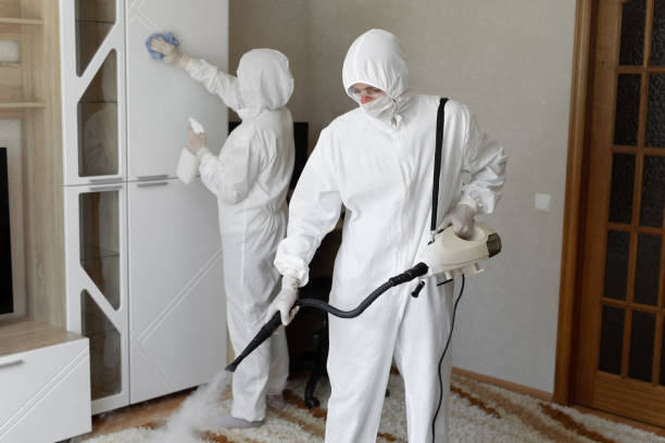 Best Certified Mold Removal  in Mission, OR
