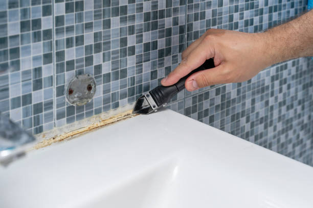 Best Attic Mold Removal  in Mission, OR