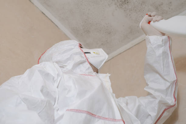 Best Crawl Space Mold Removal  in Mission, OR